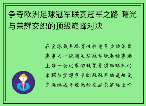 争夺欧洲足球冠军联赛冠军之路 曙光与荣耀交织的顶级巅峰对决