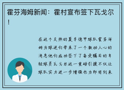 霍芬海姆新闻：霍村宣布签下瓦戈尔！